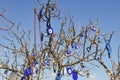 Tradition in Turkey. Hang the Nazar or turkish eye on trees against the evil eye Royalty Free Stock Photo