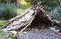 Traditional aboriginal hut Royalty Free Stock Photo