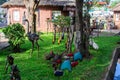 Traditional african handcrafted wooden statues of animals in the garden of Cultural Heritage store in Arusha, Tanzania Royalty Free Stock Photo