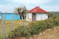 Traditional African hut