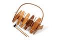 Traditional african xylophone