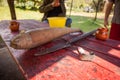 Traditional agave harvesting instruments for pulque