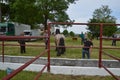 Domestic animals and people on traditional agricultural fair