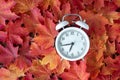 Traditional alarm clock on a background of orange and yellow maple leaves, fall time change concept Royalty Free Stock Photo