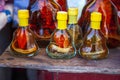 Traditional alcoholic drink with a snake and a scorpion in Vietnam