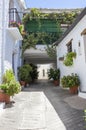 Traditional alley called tinao. Capileira town. Alpujarras, Gran