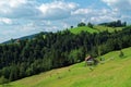 Traditional Alp in pre-alpine German landscape summer season nature