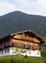 Traditional alpine house