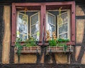 Traditional Alsatian house, with cheerful Easter decorations on the facade, Colmar, France