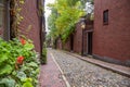 Traditional American brick residential buildings along a narrow stone street Royalty Free Stock Photo
