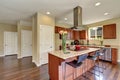 Traditional American kitchen featuring stainless steel appliances. Royalty Free Stock Photo