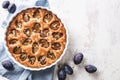 Traditional American plum torte.