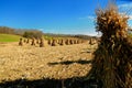 Traditional amish fall harvest Royalty Free Stock Photo