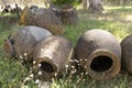 Traditional amphora for wine container from clay