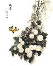 The traditional ancient Chinese hand - painted chrysanthemum flowers and butterfly Meaning: Hermit Favorite