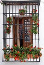 Traditional Andalusian balcony in Vejer de la Frontera