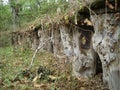 Traditional Apiary in Espinosa de los Monteros, Spain Royalty Free Stock Photo