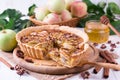 Traditional apple pie, fruit dessert, tart with fresh apples Royalty Free Stock Photo