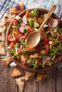 Traditional Arabic fattoush salad closeup on a plate. vertical t Royalty Free Stock Photo