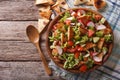 Traditional Arabic fattoush salad on a plate. Horizontal top vie