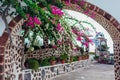 Traditional architecture in Akrotiri village on Santorini island, Greece. Cafe with bougainvillea flowers. Greek culture