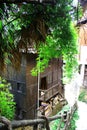 The traditional architecture in bamboo grove.