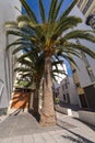 Traditional architecture at Santa Cruz - capital city of the island of La Palma, Canary Islands, Spain Royalty Free Stock Photo