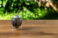 Traditional Argentine Mate made of pumpkin and lined in leather on a wooden table in the open air.