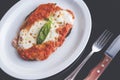 traditional argentinian food breaded meat milanesa napolitana