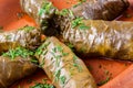 Traditional Armenian dolma (tolma) Royalty Free Stock Photo