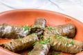 Traditional Armenian dolma (tolma) Royalty Free Stock Photo