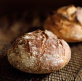 Traditional artisan sourdough bread on a cooling tray Royalty Free Stock Photo