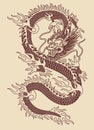 Traditional Asian Dragon Vector Illustration