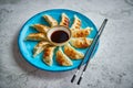 Traditional asian dumplings Gyozas on turqoise ceramic plate Royalty Free Stock Photo