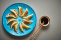 Traditional asian dumplings Gyozas on turqoise ceramic plate Royalty Free Stock Photo