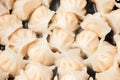 Traditional Asian Prawn or shrimp dumplings hakau, ha kauw or har gow. Served with cabbage, carrot salad and soy and Royalty Free Stock Photo