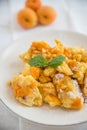 Traditional austrian kaiserschmarrn with apricots Royalty Free Stock Photo