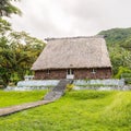 Traditional authentic fijian Bure, wood-and-straw thatched walls, roof hut. Levuka town, Ovalau island, Fiji, Melanesia, Oceania.