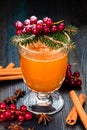 Traditional autumn, winter drink. Hot apple cider with cinnamon sticks and cranberries