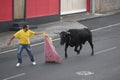 Traditional azores bullfighting feast in Terceira. Azores. Toura