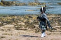 Traditional bagpiper in full dress code near Pennan Royalty Free Stock Photo