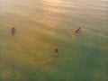 Traditional Balinese boat Jukung at Jimbaran beach at sunset in Bali, Indonesia Photo from the drone Royalty Free Stock Photo