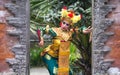 Traditional Balinese dancer. Royalty Free Stock Photo