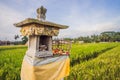Traditional Balinese house of spirits on rice field, Bali, Indonesia Royalty Free Stock Photo