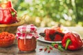 Traditional Balkan Ajvar,tasty dish Royalty Free Stock Photo