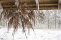 Traditional Baltic winter solstice decor of natural reeds for countryside house with snowy field o background