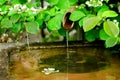 Traditional bamboo water fountain Royalty Free Stock Photo