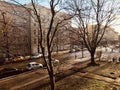 Traditional bare trees city streets berlin germany