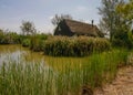 Traditional barraca cottage and rice fields Royalty Free Stock Photo