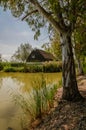 Traditional barraca cottage and rice fields Royalty Free Stock Photo